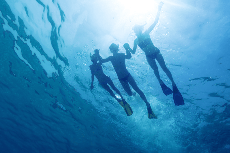 Puerto del Carmen : Excursion en snokel avec un instructeur