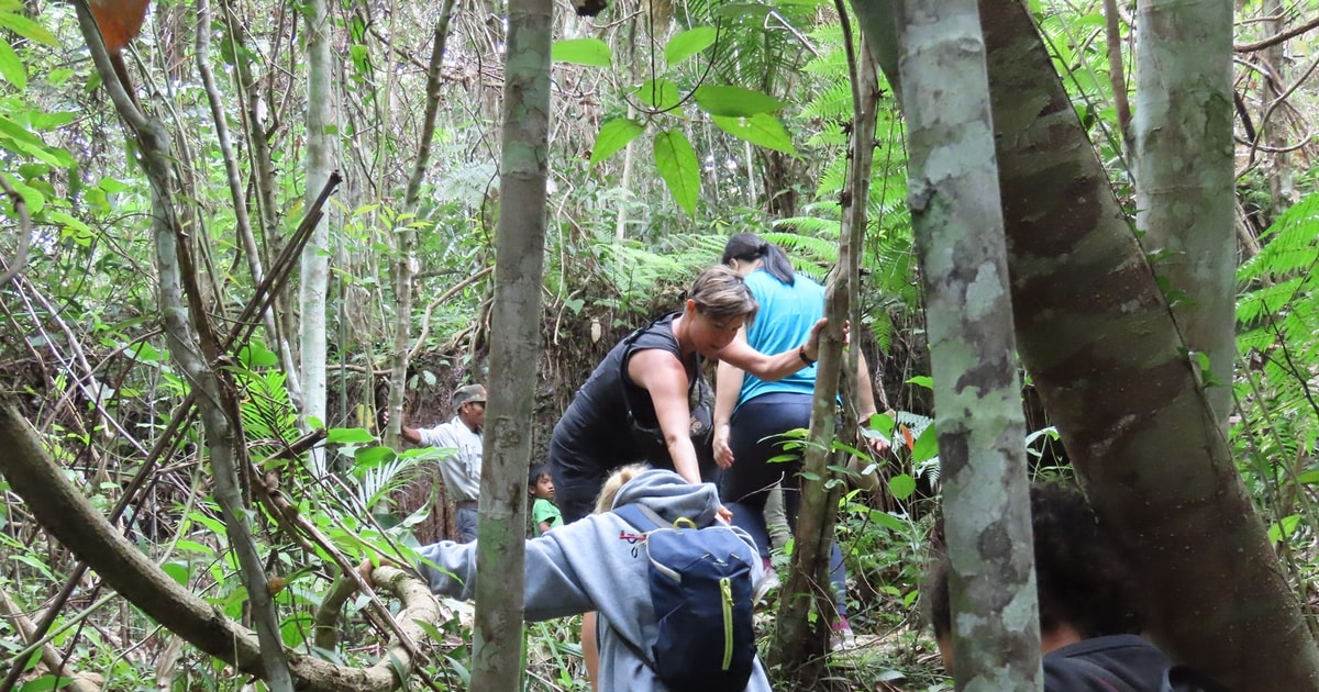 Jungle Trekking Tour at Phnom Kulen Mountain from Siem Reap | GetYourGuide