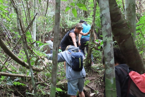 Rainforest Jungle Trekking Tour vanuit Siem Reap