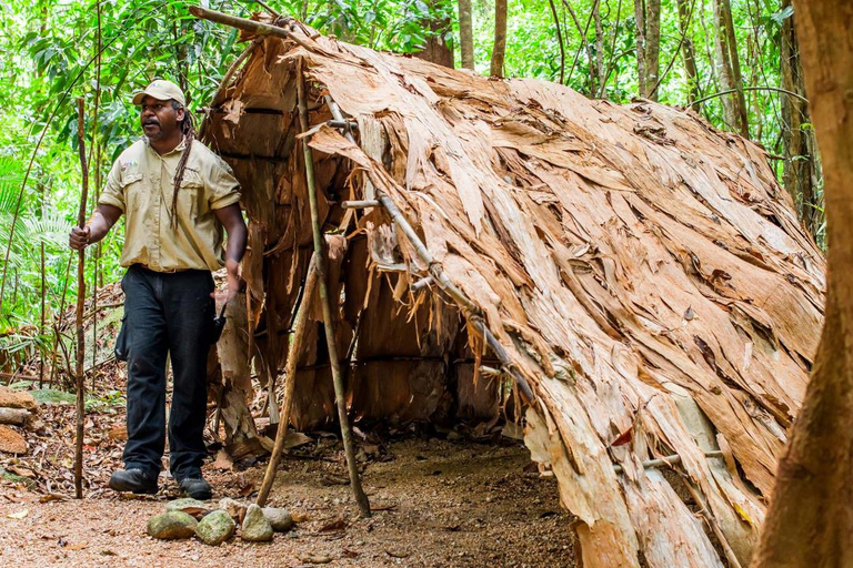 Mossman: Viaggio nella foresta pluviale di Daintree con crociera con i coccodrilli