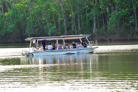 Mossman: Viaggio nella foresta pluviale di Daintree con crociera con i coccodrilli