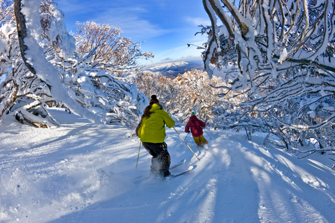 From Melbourne: Mt Buller Village Express Coach Transfer Glen Waverley Pickup