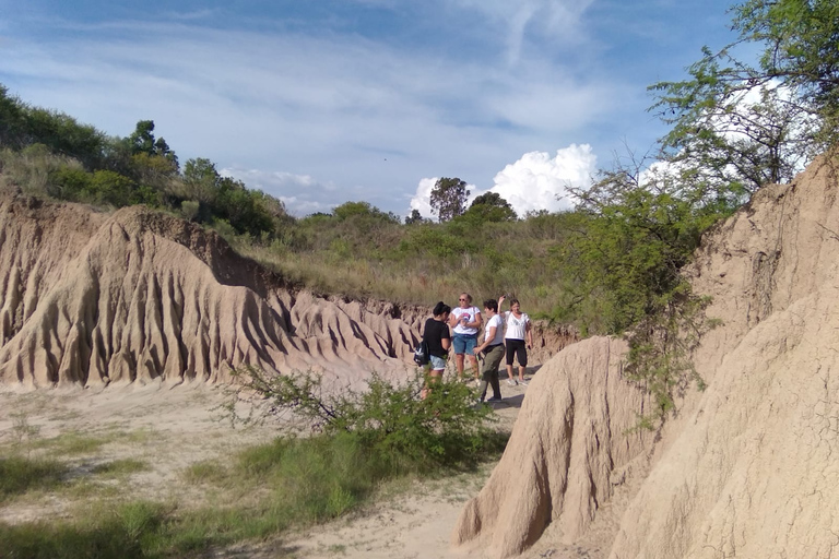 Experiencia de Naturaleza en Kayak - Excursión de un día desde ColoniaExperiencia de Naturaleza en Kayak-a 20km de Colonia del Sacramento