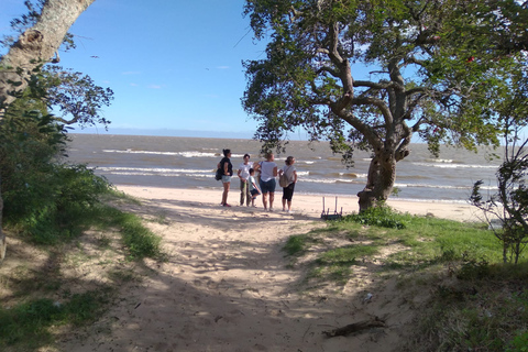 Experiencia de Naturaleza en Kayak - Excursión de un día desde ColoniaExperiencia de Naturaleza en Kayak-a 20km de Colonia del Sacramento