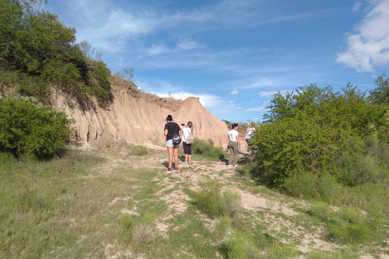 Experiencia de Naturaleza en Kayak - Excursión de un día desde ColoniaExperiencia de Naturaleza en Kayak-a 20km de Colonia del Sacramento