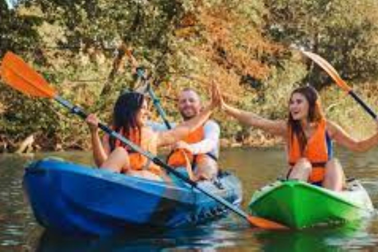 Experiencia de Naturaleza en Kayak - Excursión de un día desde ColoniaExperiencia de Naturaleza en Kayak-a 20km de Colonia del Sacramento