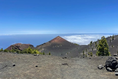 La Palma: Excursión guiada de senderismo a los volcanes del surRecogida en Los Llanos de Aridane