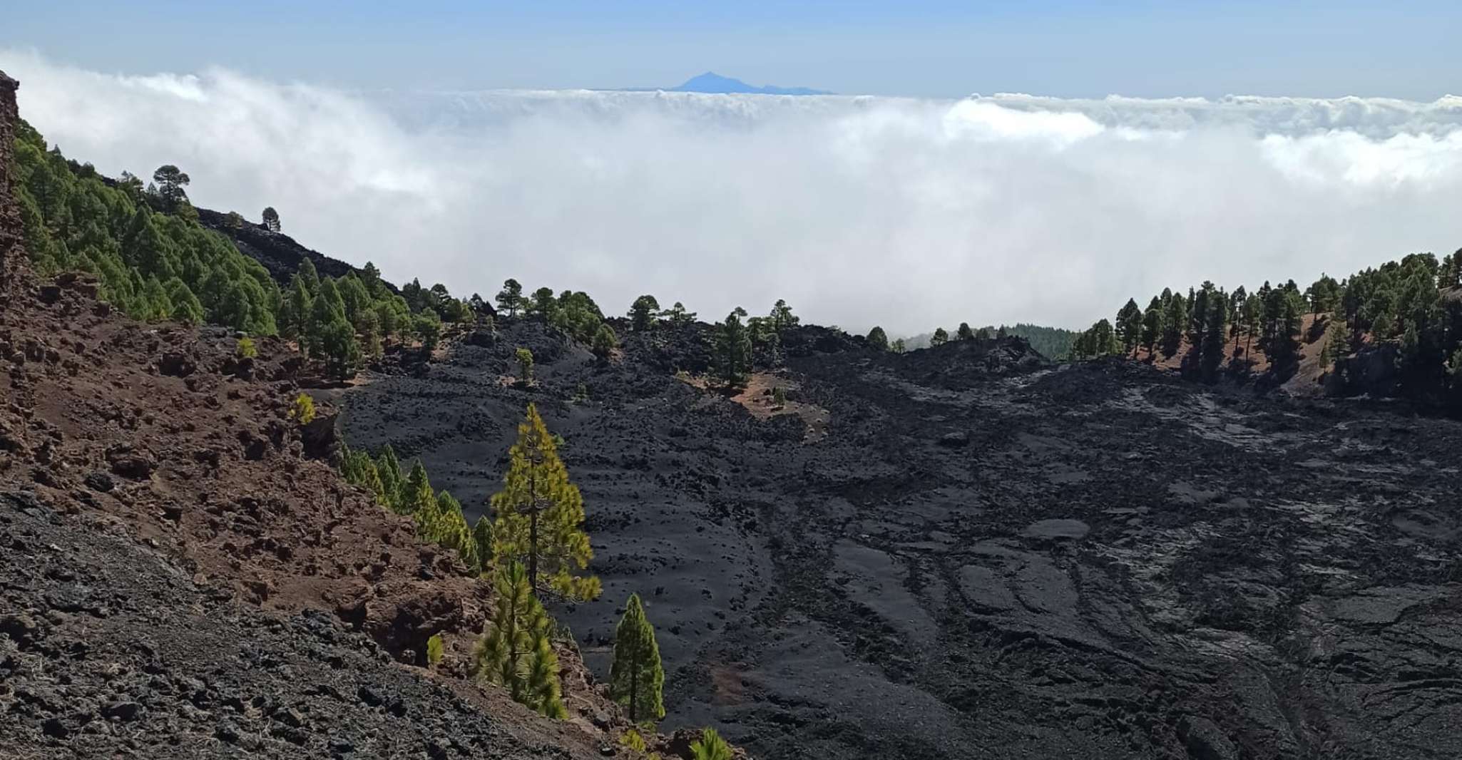 La Palma, Guided trekking tour to volcanoes south - Housity