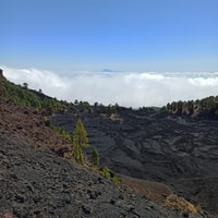 La Palma, Guided trekking tour to volcanoes south - Housity