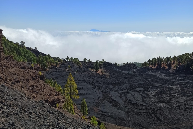 La Palma: Geführte Trekkingtour zu den Vulkanen im SüdenAbholung in Fuencaliente