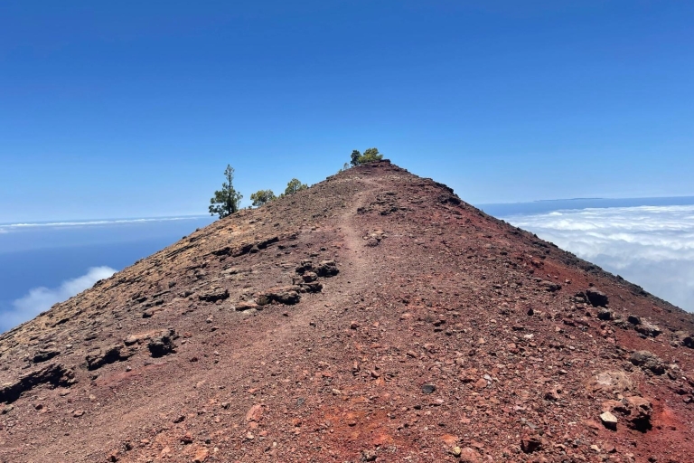 La Palma: Guided trekking tour to volcanoes south Pick up in Los Cancajos- Los Cancajos Pharmacy Bus stop