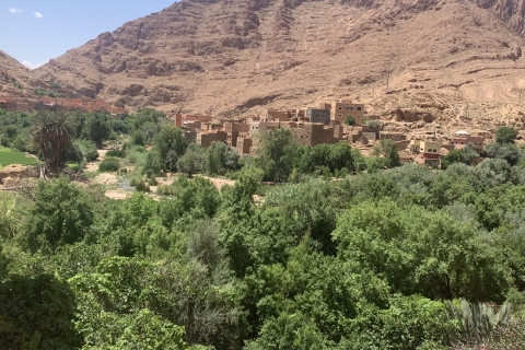 Excursion d'une journée dans les montagnes de l'Atlas depuis Marrakech