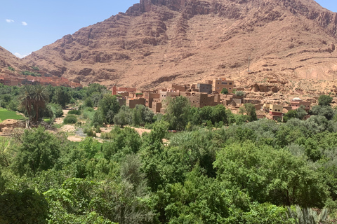 Excursion d'une journée dans les montagnes de l'Atlas depuis Marrakech