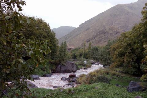 Excursion d'une journée dans les montagnes de l'Atlas depuis Marrakech