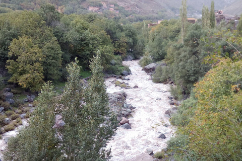 Viagem de 1 dia aos Três Vales das Montanhas Atlas saindo de Marrakech