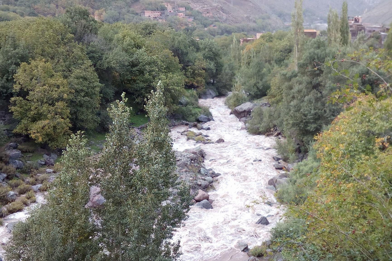 Viagem de 1 dia aos Três Vales das Montanhas Atlas saindo de Marrakech