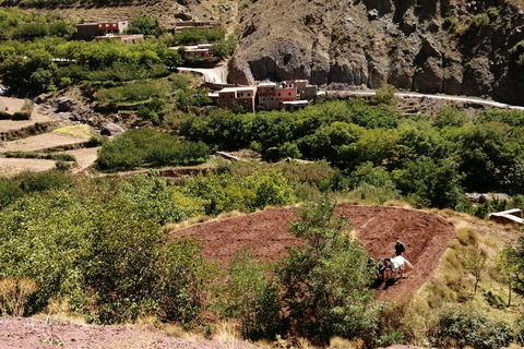 All-inclusive Atlas mountains & Agafay trip with camel ride