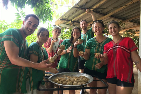 Chiang Mai: Elephant Feeding Experience, Hand Feed Elephants Elephant Sanctuary Feeding Experience Chiang Mai