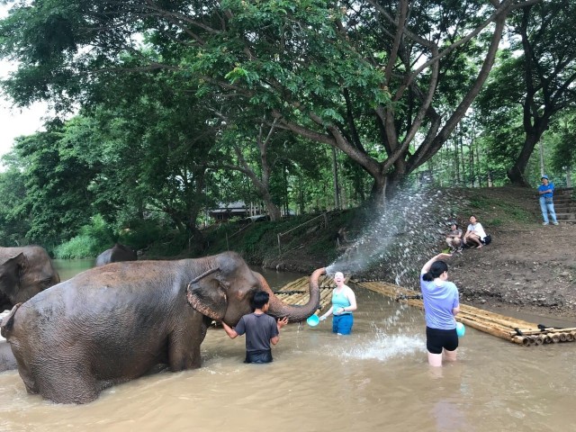 Visit Chiang Mai Elephant Tour, Ziplining, Rafting, Waterfall in Doi Inthanon, Thailand