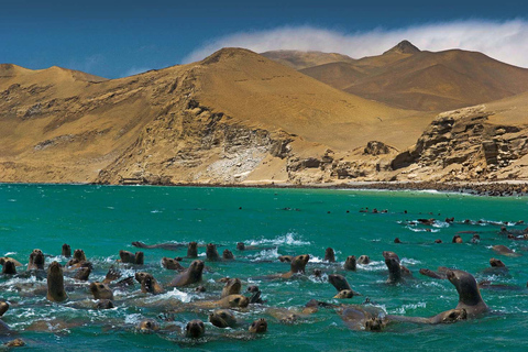 Fantastic Perú Lima- Ica- Cusco 7 days 6 nights