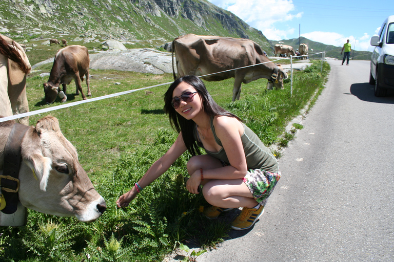 Zwitserland: Private Day Tour per auto met onbeperkte kmDagtour van 12 uur