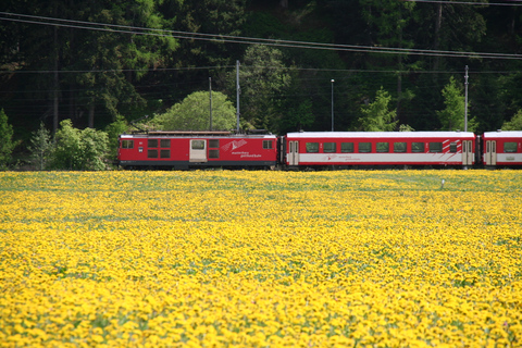 Zwitserland: Private Day Tour per auto met onbeperkte km(Copy of) Zwitserland: Private Day Tour per auto met onbeperkte km