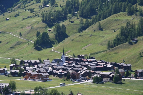 Zwitserland: Private Day Tour per auto met onbeperkte kmDagtour van 12 uur