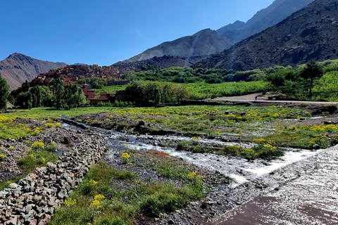 Montagnes de l'Atlas et majestueux village berbère