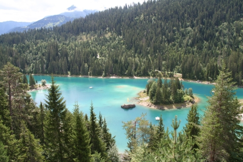 Suiza: Excursión privada de un día en coche con km ilimitadosExcursión de 12 horas de día completo