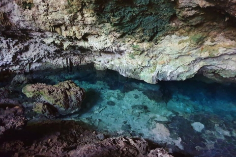 Mnemba Insel, Seestern-Abenteuer, The Rock, Kuza Höhlentour