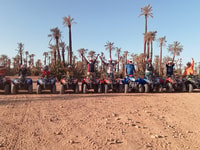 Quad Bike y Camel Ride en Palmeraie - Housity