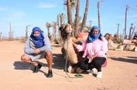 Quad Bike y Camel Ride en Palmeraie - Housity