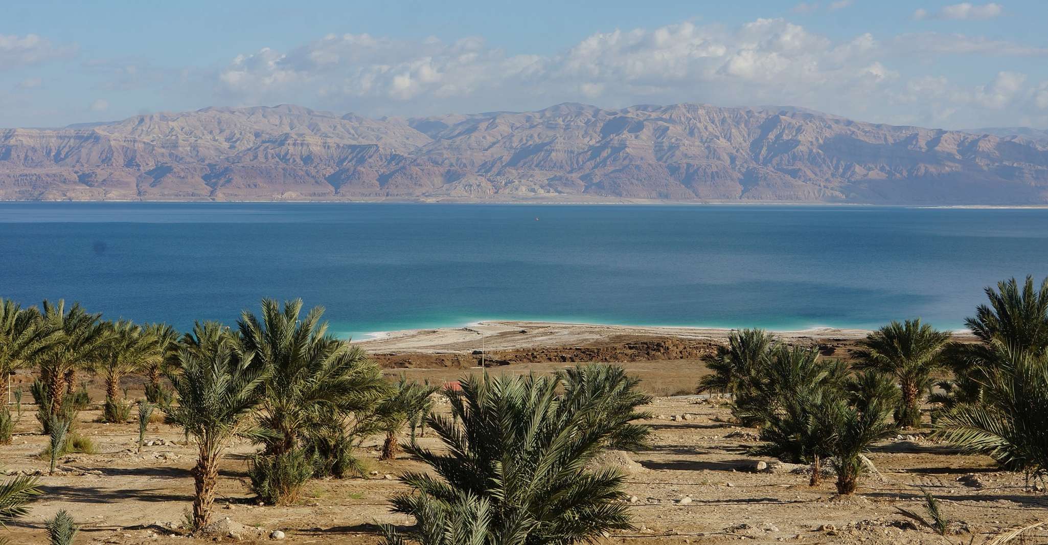 Masada, Ein Gedi And Dead Sea Private Day Tour - Housity