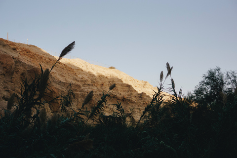 Privédagtour Masada, Ein Gedi en Dode ZeePrivétour vanuit Herzliya