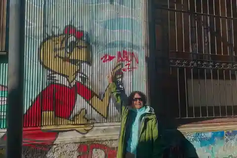 Private: Viña del Mar and Valparaiso Day Tour