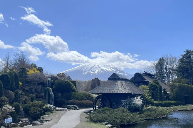 Tokyo: Mountain Fuji Private Full Day Tour with transfer Mount Fuji: Private Tour (Guided tour included) Max 5 pax