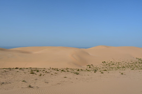 Park Narodowy Dzikiej Przyrody i Sahara, w tym lunch