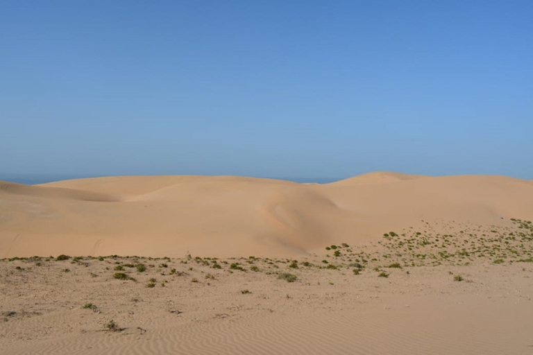 Wildlife National park en Sahara-woestijn inclusief lunch