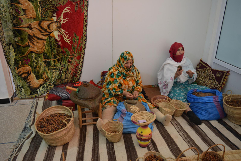 Agadir: Visita ao parque nacional e ao deserto do Saara, incluindo almoçoDe Agadir: Parque Nacional da Vida Selvagem e Deserto do Saara e Almoço