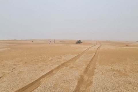 Park Narodowy Dzikiej Przyrody i Sahara, w tym lunch