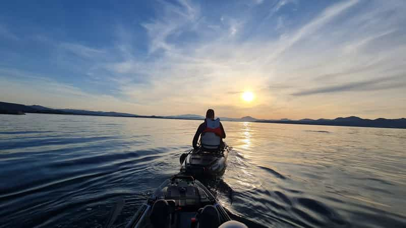 Golfo Aranci Excursion En Kayak Pour Observer Les Dauphins Avec