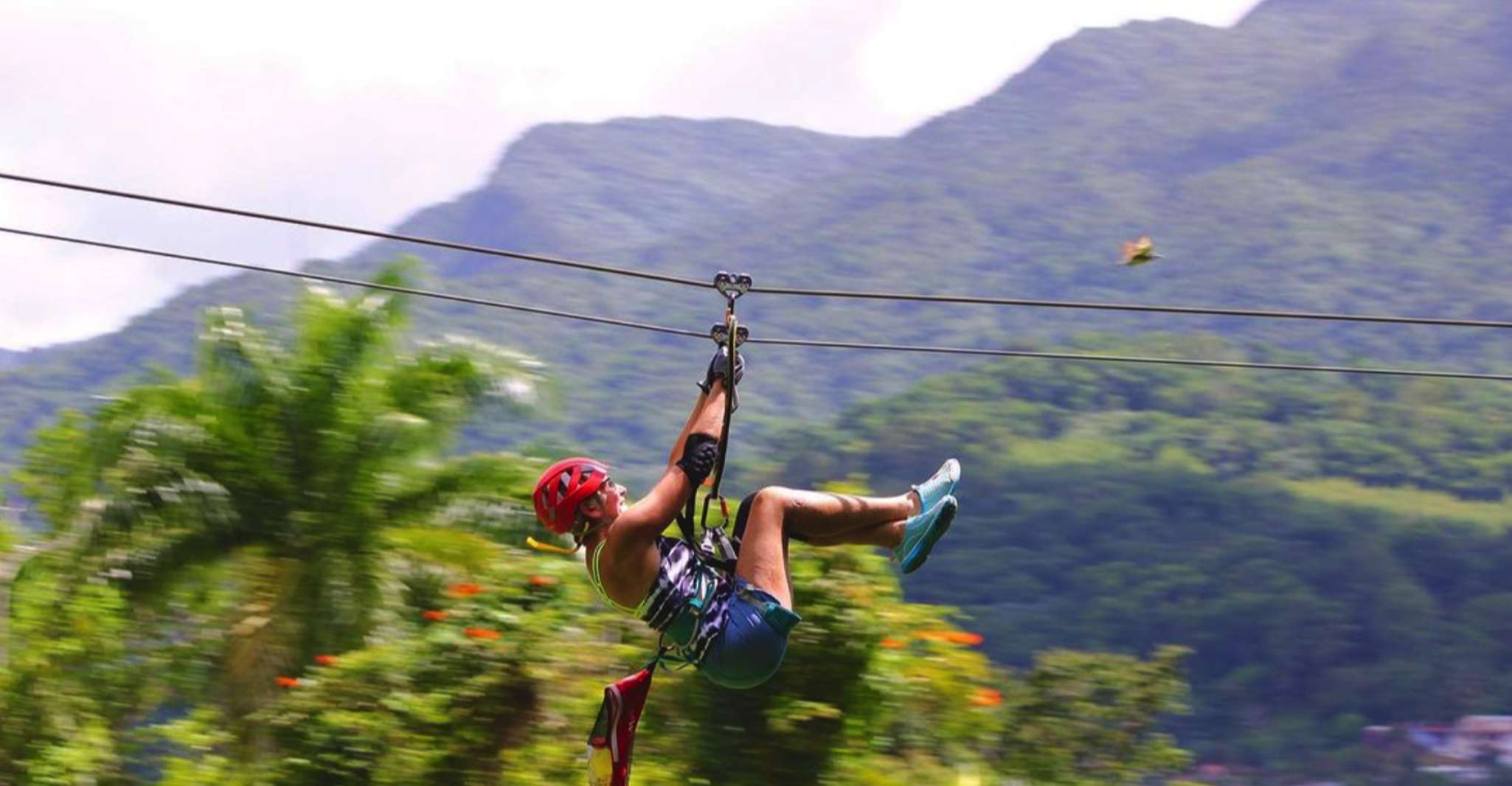 Porto Rico, Zipline Yunque à la forêt tropicale - Hizvo