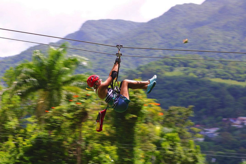 Puerto Rico: Yunque Ziplining in het regenwoud