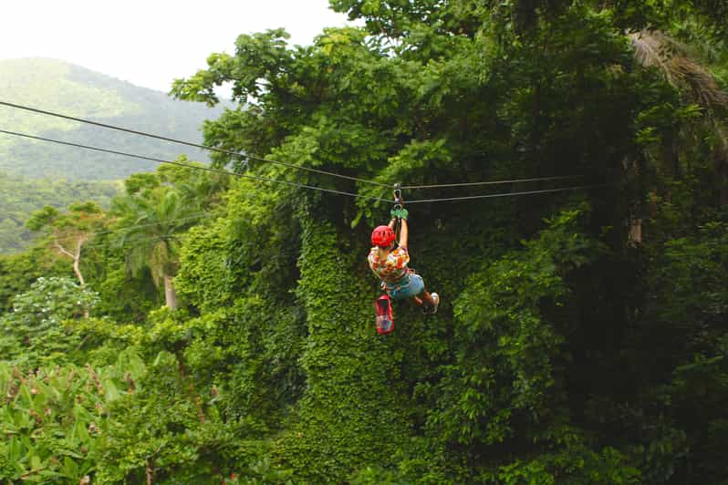 Puerto Rico Yunque Ziplining GetYourGuide