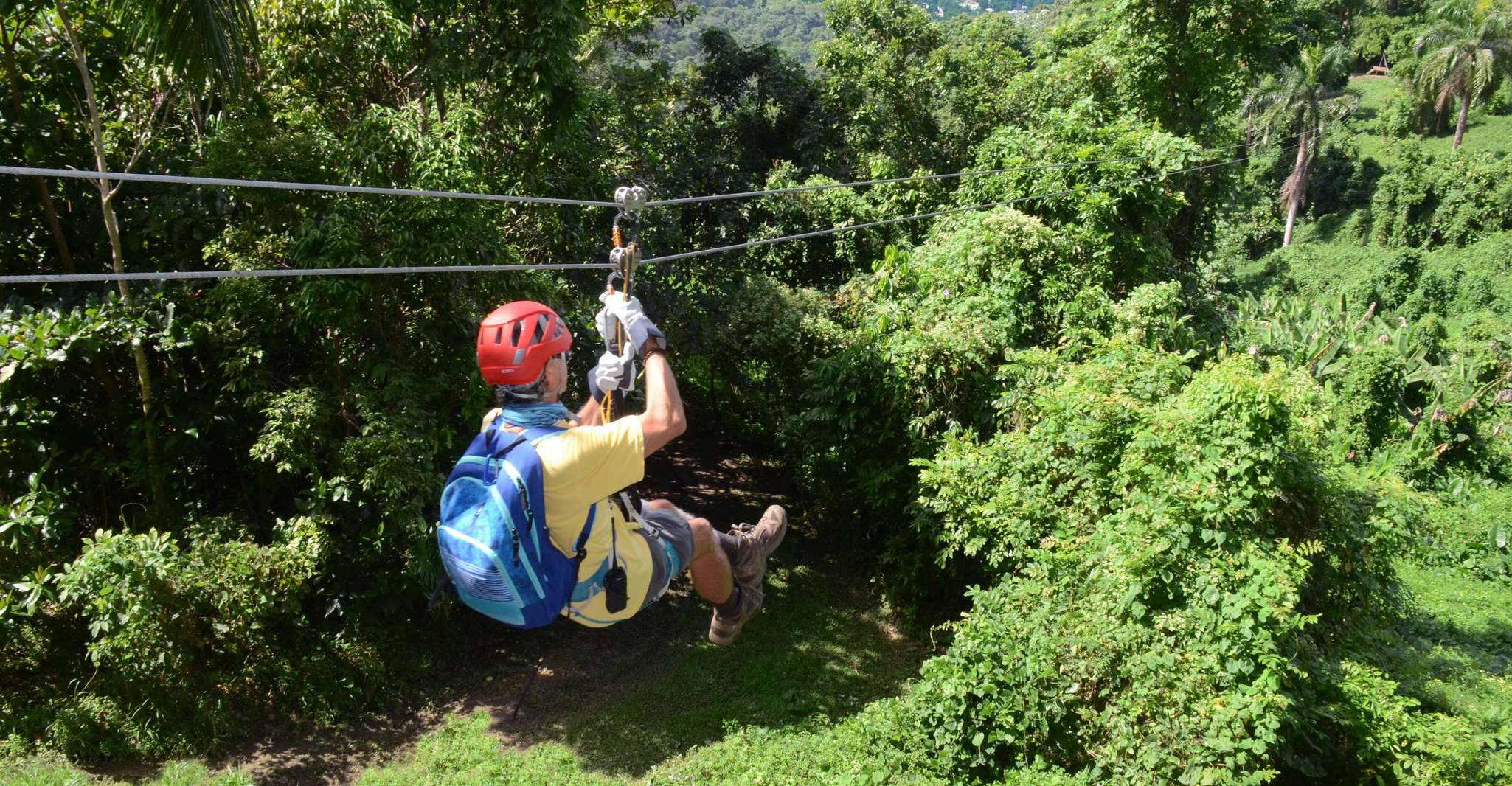 Puerto Rico, Yunque Ziplining at the Rainforest - Housity