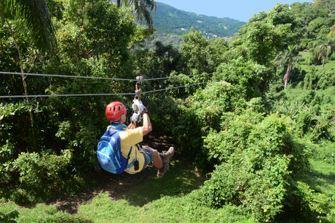 Puerto Rico: Yunque Ziplining in het regenwoud