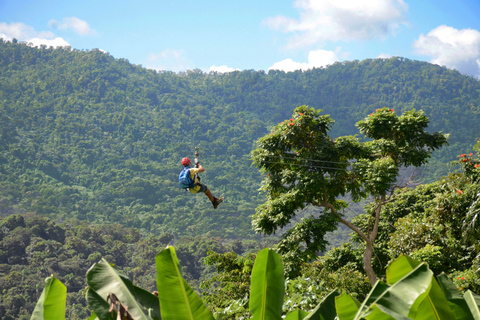 Puerto Rico: Yunque Ziplining in het regenwoud