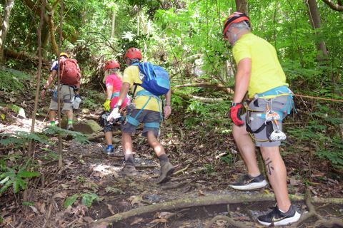 Puerto Rico: Yunque Ziplining in het regenwoud