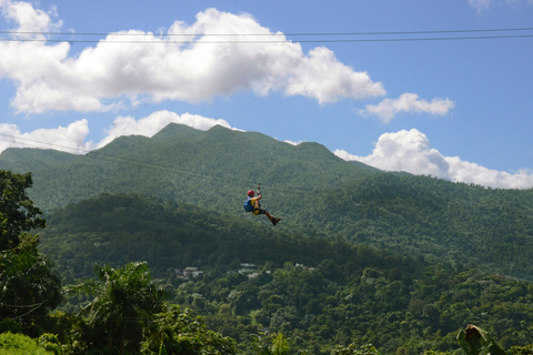 Puerto Rico: Yunque Ziplining in het regenwoud