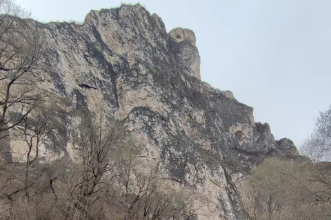 Pesca nelle Dolomiti: prenota la tua escursione selvaggia!